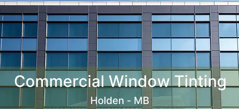  Commercial Window Tinting Holden - MB