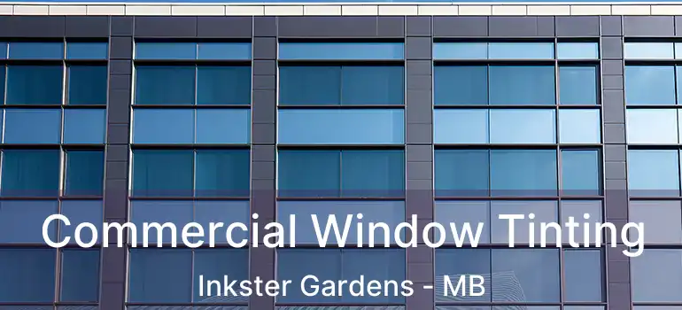  Commercial Window Tinting Inkster Gardens - MB