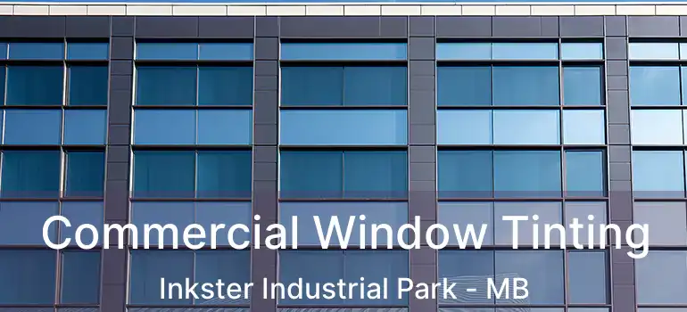  Commercial Window Tinting Inkster Industrial Park - MB