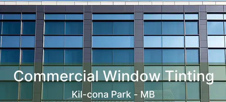  Commercial Window Tinting Kil-cona Park - MB