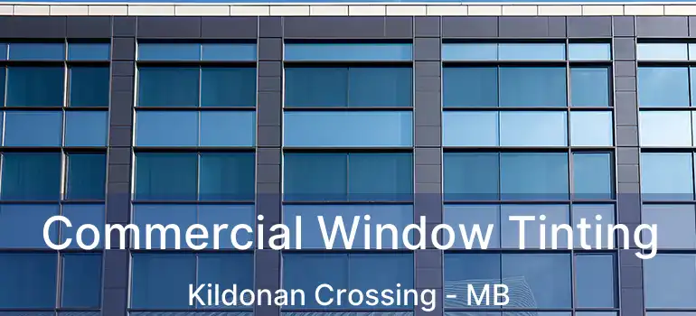  Commercial Window Tinting Kildonan Crossing - MB