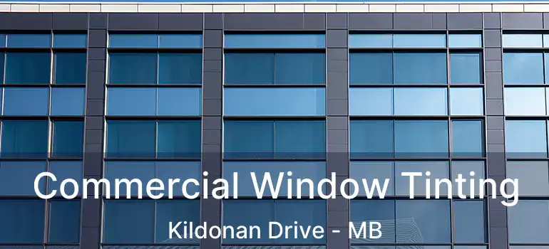  Commercial Window Tinting Kildonan Drive - MB