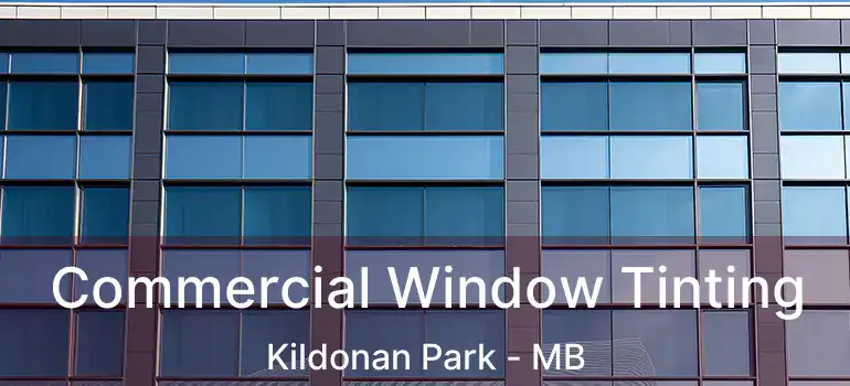  Commercial Window Tinting Kildonan Park - MB