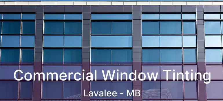  Commercial Window Tinting Lavalee - MB