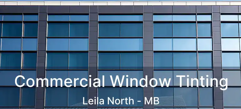  Commercial Window Tinting Leila North - MB