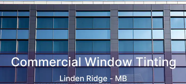  Commercial Window Tinting Linden Ridge - MB