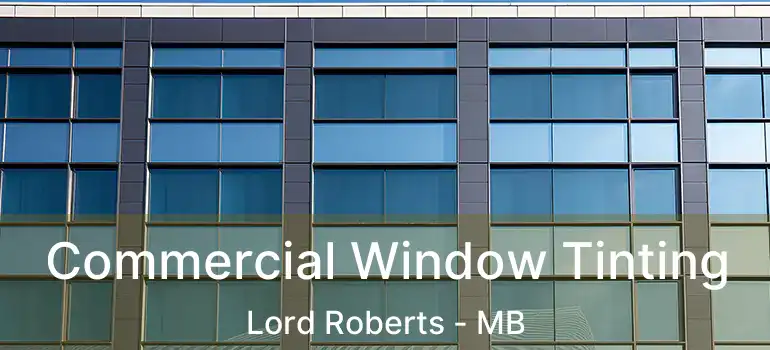  Commercial Window Tinting Lord Roberts - MB