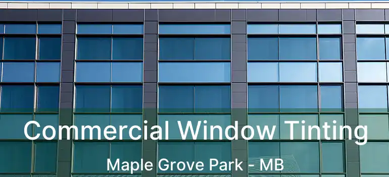  Commercial Window Tinting Maple Grove Park - MB
