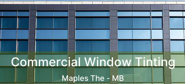  Commercial Window Tinting Maples The - MB