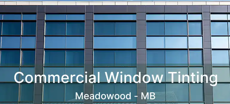  Commercial Window Tinting Meadowood - MB