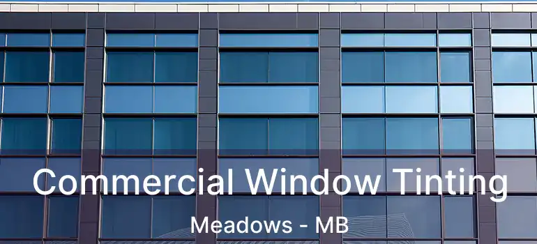  Commercial Window Tinting Meadows - MB