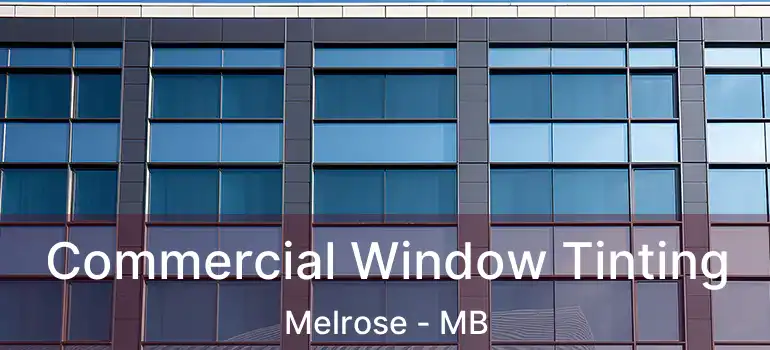  Commercial Window Tinting Melrose - MB