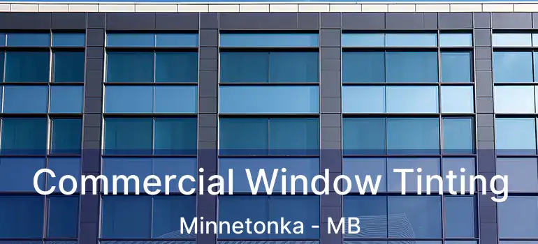  Commercial Window Tinting Minnetonka - MB