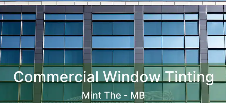  Commercial Window Tinting Mint The - MB