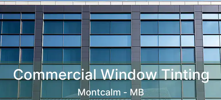  Commercial Window Tinting Montcalm - MB