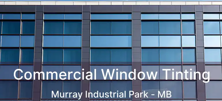  Commercial Window Tinting Murray Industrial Park - MB