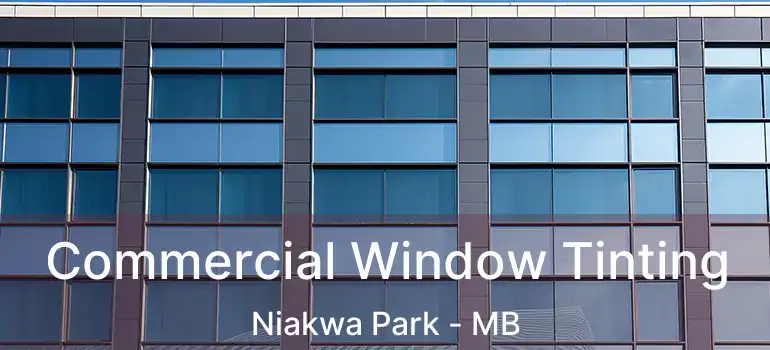  Commercial Window Tinting Niakwa Park - MB