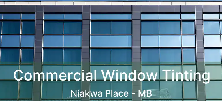  Commercial Window Tinting Niakwa Place - MB