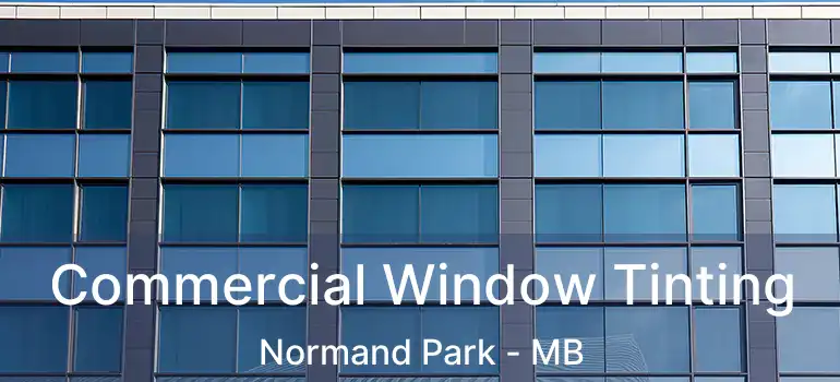  Commercial Window Tinting Normand Park - MB