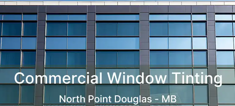  Commercial Window Tinting North Point Douglas - MB