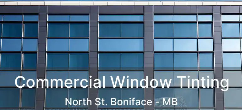  Commercial Window Tinting North St. Boniface - MB