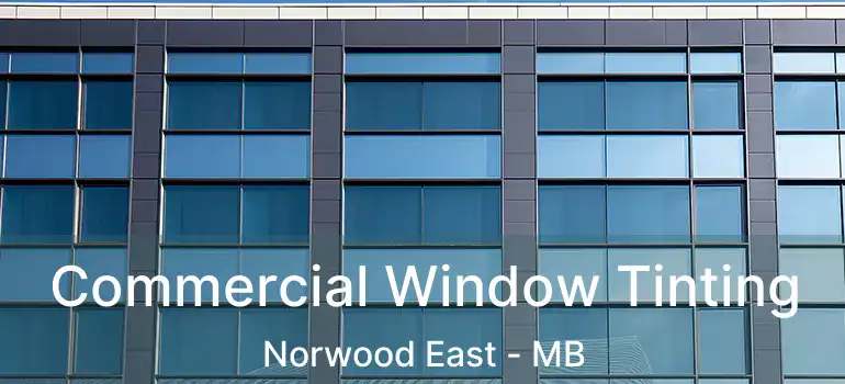  Commercial Window Tinting Norwood East - MB