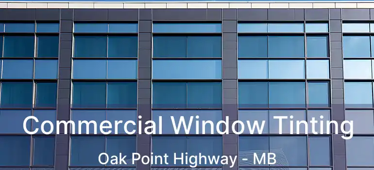  Commercial Window Tinting Oak Point Highway - MB