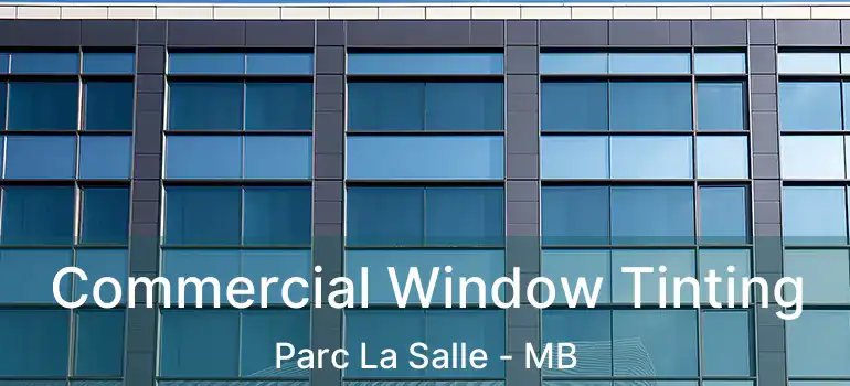  Commercial Window Tinting Parc La Salle - MB