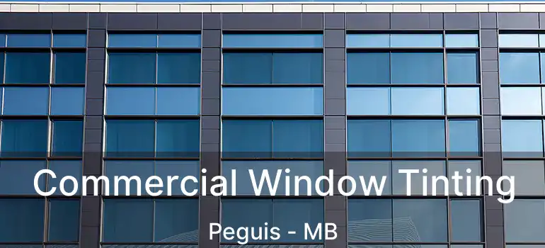  Commercial Window Tinting Peguis - MB