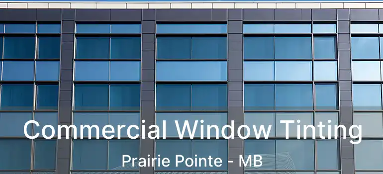  Commercial Window Tinting Prairie Pointe - MB