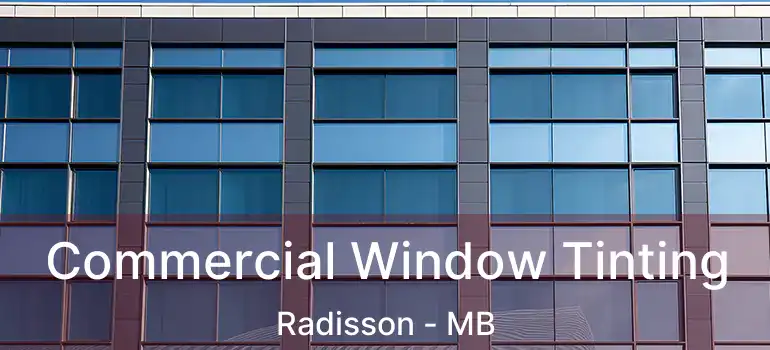  Commercial Window Tinting Radisson - MB