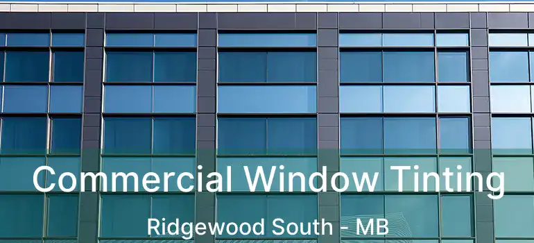  Commercial Window Tinting Ridgewood South - MB