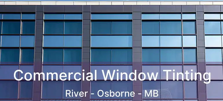  Commercial Window Tinting River - Osborne - MB