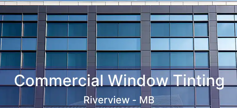  Commercial Window Tinting Riverview - MB