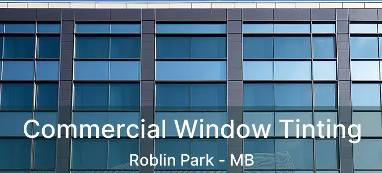  Commercial Window Tinting Roblin Park - MB