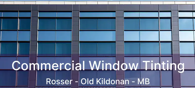  Commercial Window Tinting Rosser - Old Kildonan - MB
