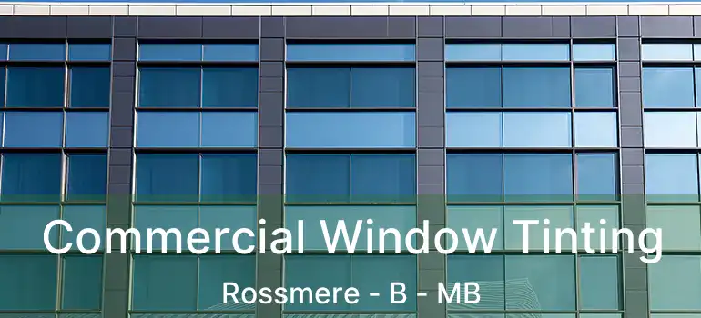 Commercial Window Tinting Rossmere - B - MB