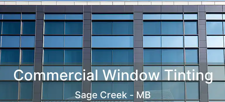  Commercial Window Tinting Sage Creek - MB
