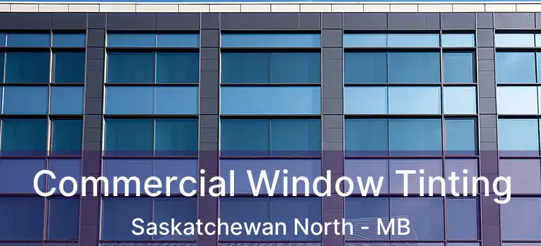  Commercial Window Tinting Saskatchewan North - MB