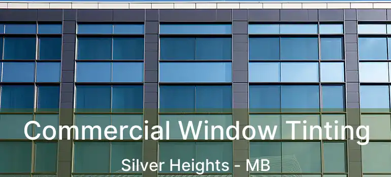  Commercial Window Tinting Silver Heights - MB