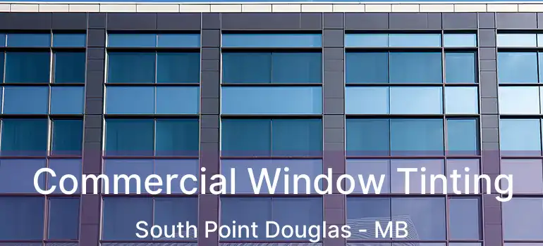  Commercial Window Tinting South Point Douglas - MB