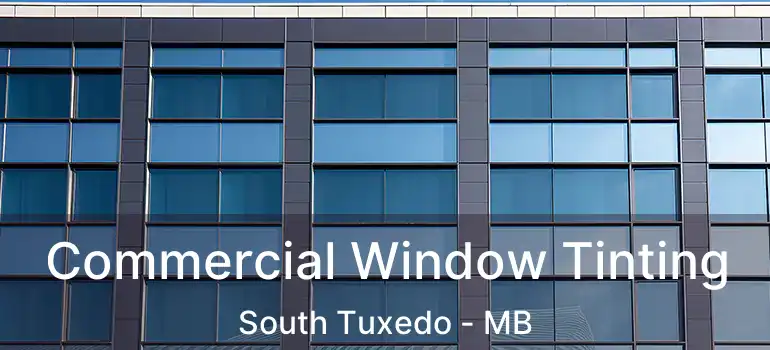  Commercial Window Tinting South Tuxedo - MB