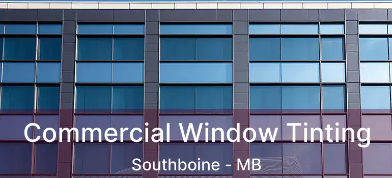  Commercial Window Tinting Southboine - MB