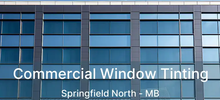  Commercial Window Tinting Springfield North - MB