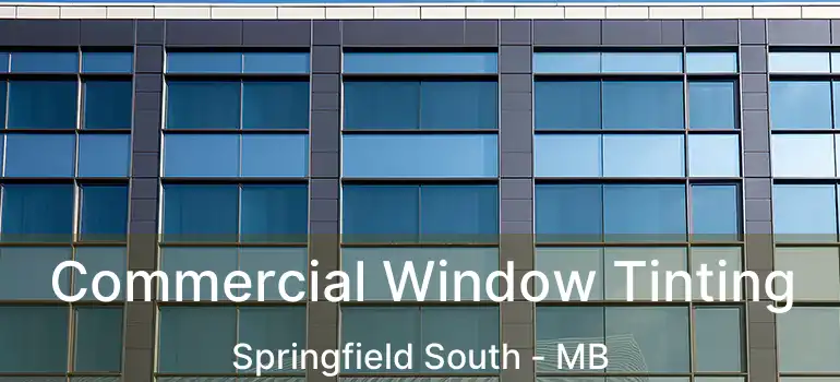  Commercial Window Tinting Springfield South - MB