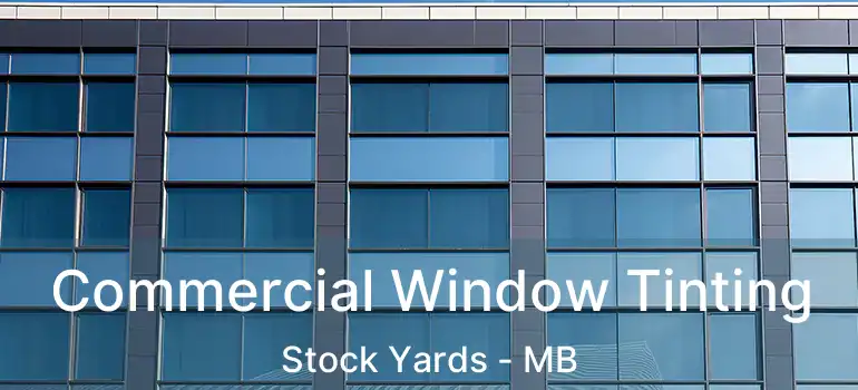  Commercial Window Tinting Stock Yards - MB