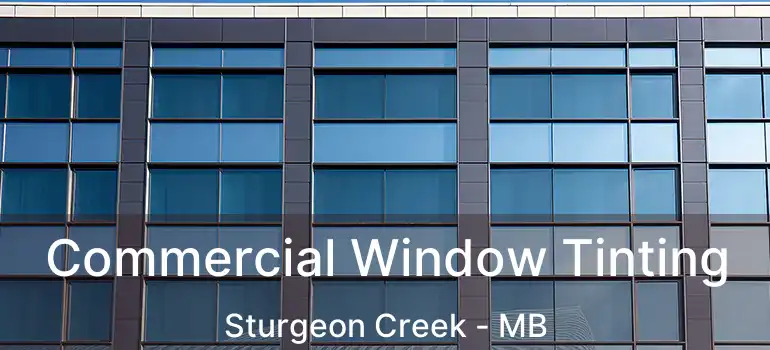  Commercial Window Tinting Sturgeon Creek - MB