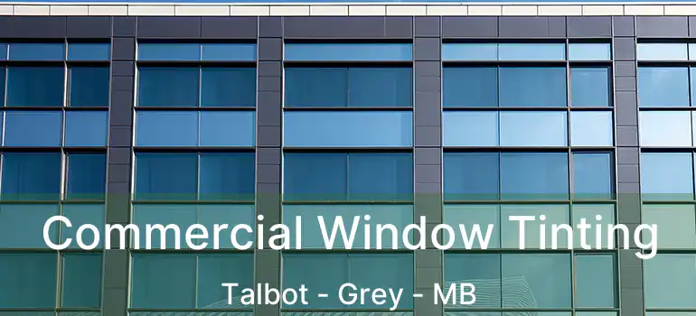  Commercial Window Tinting Talbot - Grey - MB