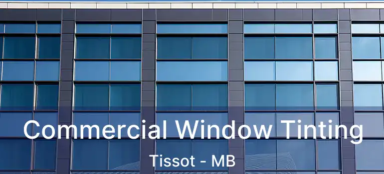  Commercial Window Tinting Tissot - MB