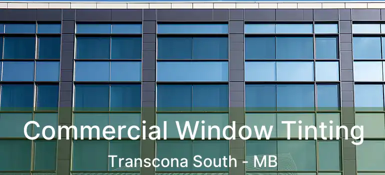  Commercial Window Tinting Transcona South - MB